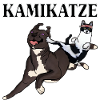 kamikatze kamikaze