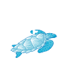 Ocean dive