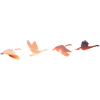 Geese #2
