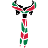 Scout scarf