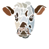 cow-spread