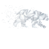 Polar bear environment climate