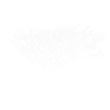 beautiful white tree