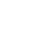 The ice Bear