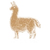 lama