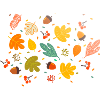Autumn leaves