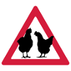 Soirée poule attention poule fête