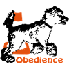 Obedience poodles surrounds Pylo