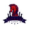 Chess chess pieces