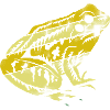 Frog Kroete