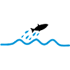 flying_fish