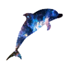 Space Dolphin