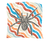 spider