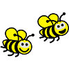 biene_bee___f3
