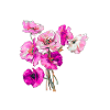 Roses roses et violettes
