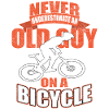 Bicycle Cycling Biking
