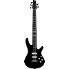 5 Saiter Bass