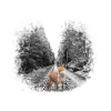 proud fox