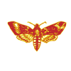 Moth T-Shirt