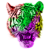 Tiger animals animal rights