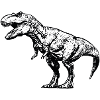 Dino Carnivore T-Rex Dinosaur