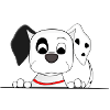 Dalmatian dog Funny