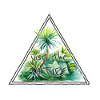 Visit the nature
