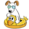 Dog On Vacation With Swimming Rip