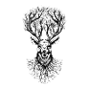 deer