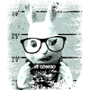 Prison rabbit funny