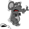 elephant and mouse
