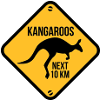 kangaroo - australia