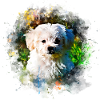 gxp maltese dog aquarelle splatter