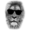 Cool Cat