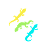 leopard geckos