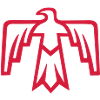 Native American Thunderbird