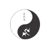 aikido sensei