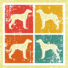 Dalmatian dogs