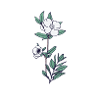 Conception de roses