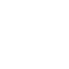 Indian skull