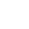 Bachelor of Science BSc