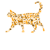 Cats in the cat
