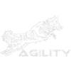 427 Australian Shepherd Agility