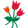 tulips