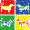 Chiens Teckel