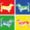 Teckel chiens
