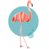 FlaminGEO