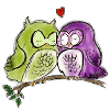 Owl in Love
