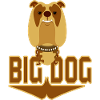 Big dog