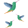 Hummingbird - Group